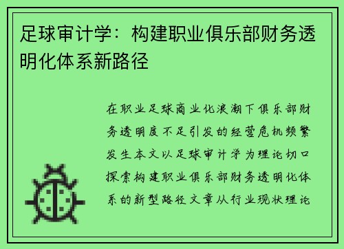 足球审计学：构建职业俱乐部财务透明化体系新路径